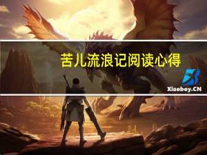 苦儿流浪记阅读心得