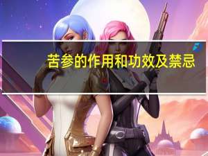 苦参的作用和功效及禁忌（苦参的作用）