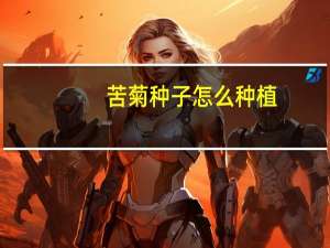 苦菊种子怎么种植