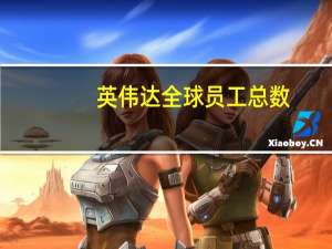 英伟达全球员工总数