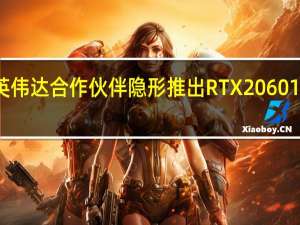 英伟达合作伙伴隐形推出RTX 2060 12GB卡