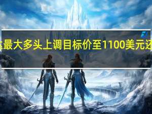 英伟达最大多头上调目标价至1100美元还能涨一倍多