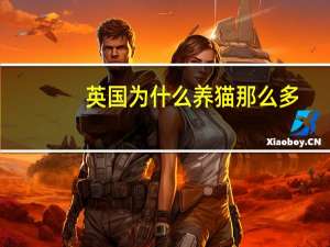 英国为什么养猫那么多