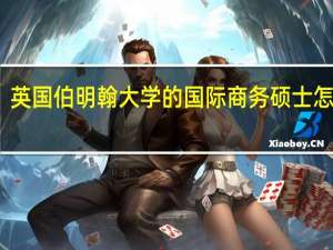 英国伯明翰大学的国际商务硕士怎么样