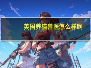 英国养猫兽医怎么样啊