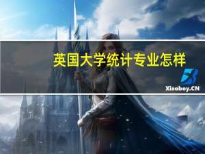 英国大学统计专业怎样