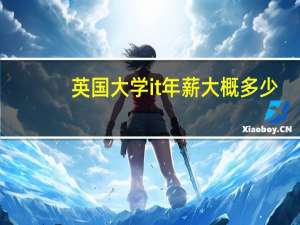 英国大学it年薪大概多少