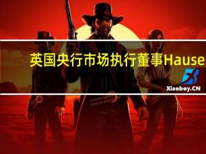 英国央行市场执行董事Hauser：任何新的贷款机制都必须基于对实际可行性的清晰评估