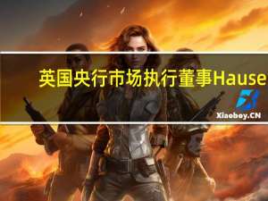 英国央行市场执行董事Hauser：我们不知道银行业偏好的最低准备金率在什么水平量化紧缩需要围绕这一点设计并配备回购工具