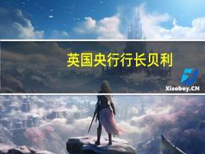 英国央行行长贝利：现在讨论降息还为时过早