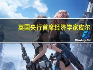 英国央行首席经济学家皮尔：英国央行必须专注于通胀问题而不是解决英国经济中的其他问题