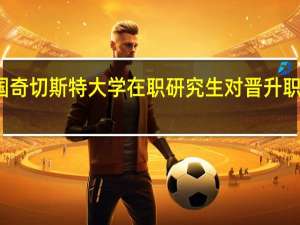 英国奇切斯特大学在职研究生对晋升职称有用吗