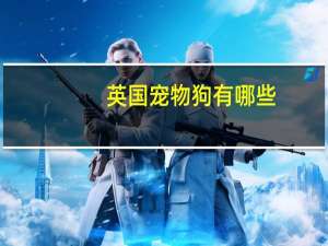 英国宠物狗有哪些