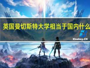 英国曼切斯特大学相当于国内什么大学