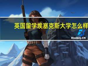 英国留学埃塞克斯大学怎么样