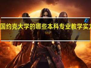 英国约克大学的哪些本科专业教学实力比较强