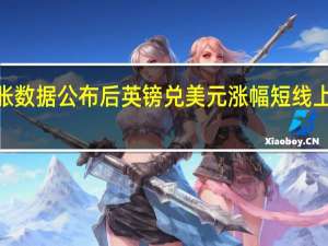 英国通胀数据公布后英镑兑美元涨幅短线上扬逾20点报1.2724