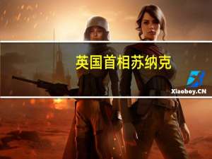 英国首相苏纳克：不能指望公司在人工智能问题上给自己的所作所为打分