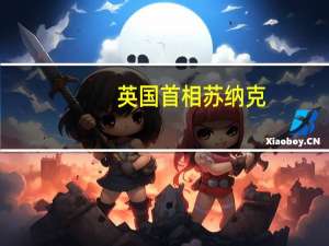 英国首相苏纳克：将英国对巴勒斯坦人民的援助资金增加三分之一达到1000万英镑