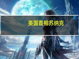 英国首相苏纳克：应将人工智能视为“副驾驶员”而非取代人类工作岗位的威胁