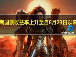 英国30年期国债收益率上升至自8月23日以来的最高水平为4.699%日内上涨6个基点