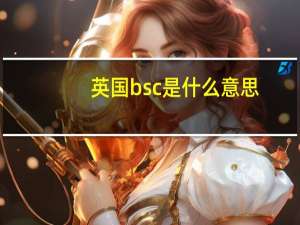 英国bsc是什么意思