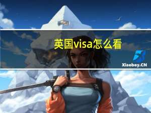 英国visa怎么看