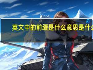 英文中的前缀是什么意思是什么