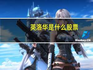 英洛华是什么股票