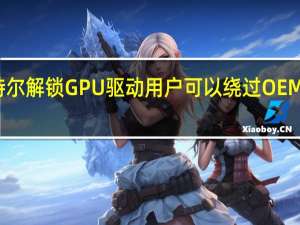 英特尔解锁GPU驱动 用户可以绕过OEM驱动锁定