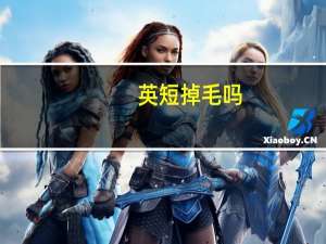 英短掉毛吗