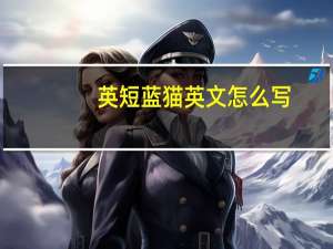 英短蓝猫英文怎么写