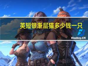 英短银渐层猫多少钱一只