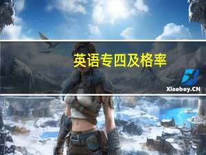 英语专四及格率