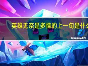 英雄无奈是多情的上一句是什么
