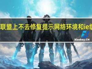 英雄联盟上不去修复提示网络环境和ie缓存怎么办（英雄联盟ie缓存异常怎么修复）