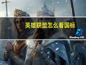 英雄联盟怎么看国标