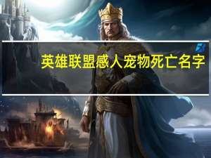 英雄联盟感人宠物死亡名字