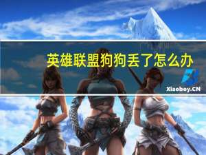 英雄联盟狗狗丢了怎么办