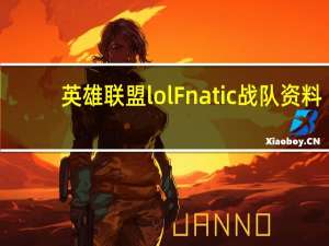 英雄联盟lolFnatic战队资料（英雄联盟lol》Fnatic战队资料大全）