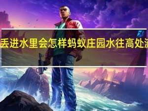 苹果丢进水里会怎样蚂蚁庄园 水往高处流蚂蚁庄园
