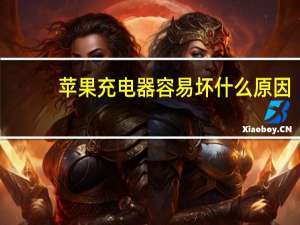 苹果充电器容易坏什么原因