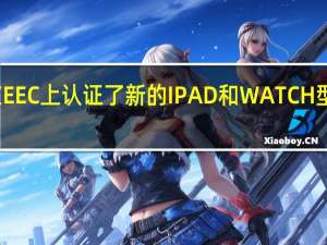 苹果公司在EEC上认证了新的IPAD和WATCH型号 建议即将推出