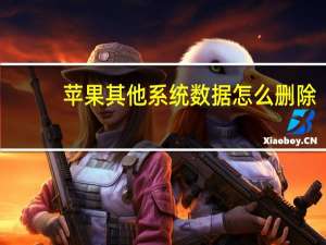 苹果其他系统数据怎么删除