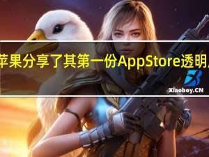 苹果分享了其第一份App Store透明度报告