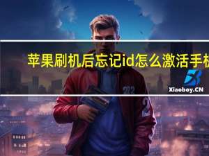 苹果刷机后忘记id怎么激活手机（苹果刷机后忘记id怎么激活）