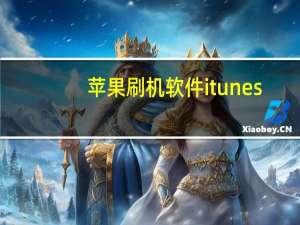 苹果刷机软件itunes（苹果3gs刷机）