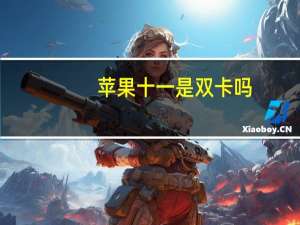 苹果十一是双卡吗