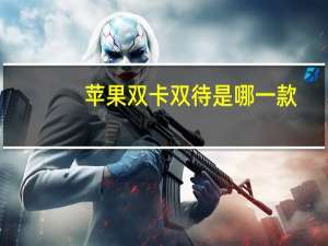 苹果双卡双待是哪一款（苹果双卡双待）