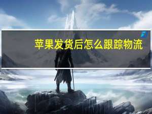 苹果发货后怎么跟踪物流
